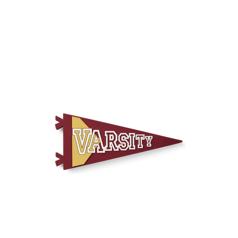 Bogg Bit - Varsity Flag